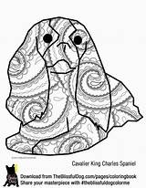Charles King Cavalier Coloring Spaniel Book Pages Dog Divyajanani Breeds Color Cocker Teddy Stallion Bear Dogs sketch template