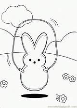 Peeps Coloring Pages Marshmallow Easter Bunny Color Print Drawing Printable Book Sheets Marshmallows Para Dibujos Pintar Skipping Getdrawings sketch template