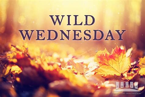Bewitching Wild Wednesday September 23 2020 Lmbpn Publishing