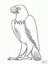 Eagles Printable Eagle Library Clipart Bird Drawing Easy Coloring sketch template