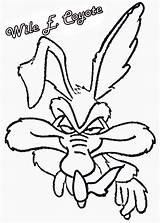 Coyote Coloring Pages Wile Tunes Looney Roadrunner Cartoon Runner Road Drawing Visit Library Clipartmag Color Getdrawings Getcolorings Comments sketch template
