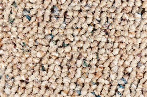 top reasons   berber carpet   homes flooring carpetgurus