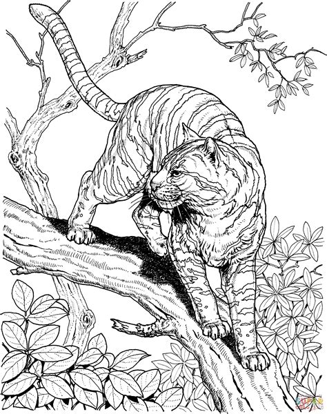 tiger ausmalbilder  jungle coloring pages cat coloring page