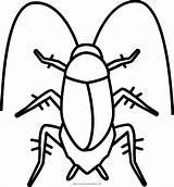 Cucaracha Cockroach Colorare Scarafaggi sketch template