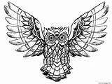Owl Coloring Pages Drawing Owls Printable Raw Advanced Kids Adults Animals Print Color Book Children Beautiful Incredible Justcolor Adult Clipartmag sketch template