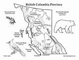 Columbia British Coloring Province Canadian Canada Vancouver Visit Provinces Bear Location sketch template