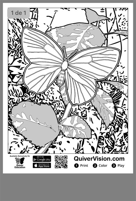 quiver augmented reality vr coloring pages kindergarten butterfly