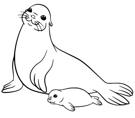 printable sea lion coloring page  printable coloring pages
