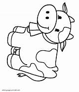 Coloring Pages Cow Toddler Preschoolers Printable Preschool Animals Toddlers sketch template