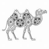 Camel Coloring Adult Zentangle Totem Therapeutic Stock Animals Illustration Advanced Stress Anti Ar Vector Kidspressmagazine Pages Now Therapy sketch template