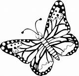 Coloring Butterfly Pages Flying Button Print Click sketch template