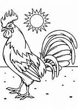 Rooster Angry Coloring Funny Pages Little sketch template