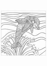 Delfines Dauphin Delfine Erwachsene Mer Colorare Disegni Malbuch Adulti Delfini Coloriages Dolphins Difficiles Dauphins Vagues Mare Dolphin Justcolor Colouring Waves sketch template