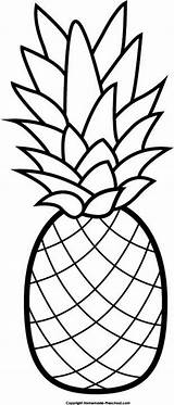 Pineapple Clipart sketch template