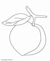 Coloring Preschool Fruits Pages Peach Vegetables Preschoolers Printable Toddlers Ads Google sketch template