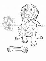 Setter Coloriage sketch template