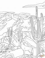 Coloring National Park Coyote Pages Saguaro Howling Florida State Symbols Mountain Printable Teton Drawing Zion Supercoloring Arizona Categories sketch template