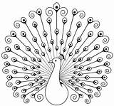 Peacock Drawing Outline Swirly Painting Vector Dot Wordpress Pattern sketch template