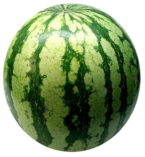 watermelon facts health benefits  nutritional