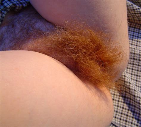 One Hairy Ginger Cunt Lickit100