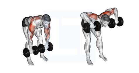 Dumbbell Bent Over Face Pull Guide Benefits And Form