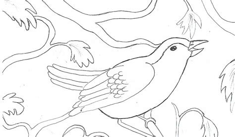ray chills world bird   tree coloring pages  rachell