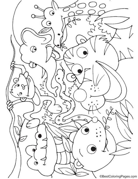 rainforest animals coloring page animal coloring pages coloring