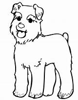 Schnauzer Poodle sketch template