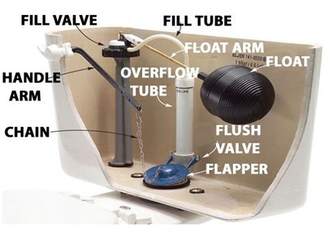 toilet parts toilet diagram diy repair guide  home gear