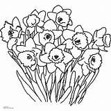 Coloring Spring Flowers Pages Printable Flower Daffodil Popular sketch template