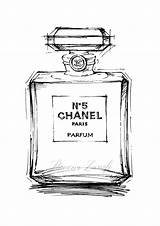 Perfume N5 Rysunek Cartoon Template sketch template