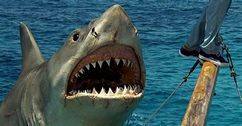 signal bleed shark week  jaws  revenge