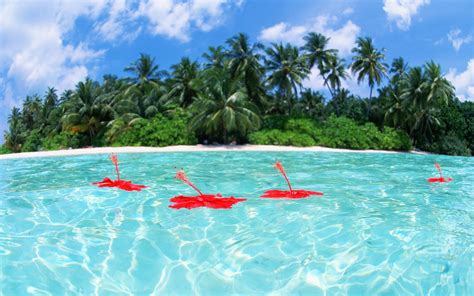romantic getaways maldives honeymoon romantic maldives honeymoon  maldives