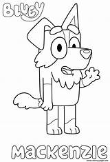 Bluey Mackenzie Collie Coloriage Xcolorings Coloringhome sketch template