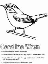 Coloring Wren Carolina State Symbols South Pages Bird States United Printable Printables Line Drawing Drawings Template Kidzone Designlooter Ws Choose sketch template