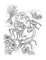 Coloring Colorare Deserto Trapdoor Scorpion Supercoloring Scorpions sketch template
