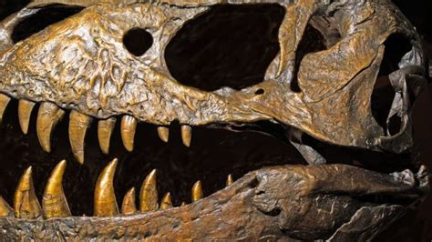 Dinosaurs May Have Emerged Earlier Than Thought And In England