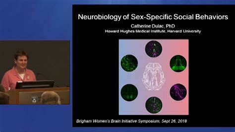 Neurobiology Of Sex Specific Social Behaviors Brigham Health Youtube
