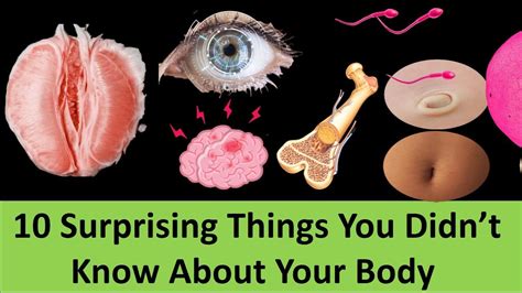 10 surprising things you didn t know about your body youtube