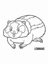 Lemming sketch template