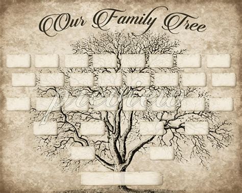 custom family tree printable  generation template instant etsy family trees diy blank family