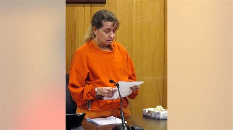 judge sentences michigan woman to 10 22 years in failed attempt to kill