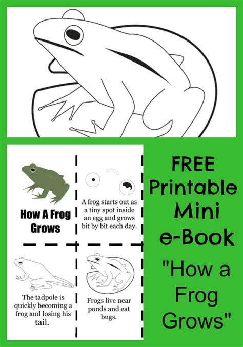 frog grows printable  book coloring pages