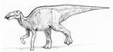 Edmontosaurus Dewlap Deviantart Stats sketch template