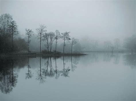 61 Best Photos Fog And Rain Images On Pinterest Nature Forests And