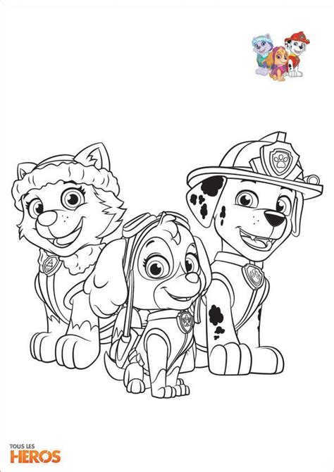 pin  dean mary pettit  coloring   paw patrol coloring paw