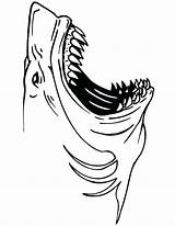 Mouth Open Coloring Pages Shark Getdrawings sketch template