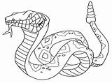 Coloring Pages Snakes Cool Snake Popular sketch template