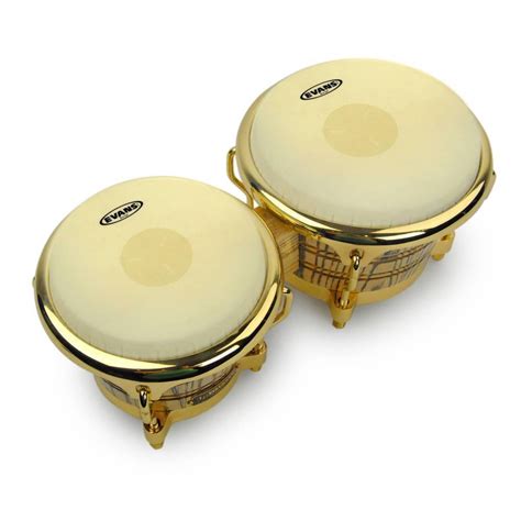 evans eb tri center bongo drum head    long mcquade musical instruments