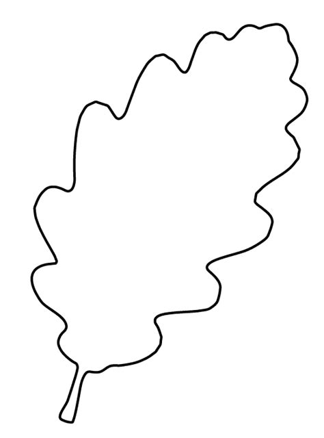 oak leaf outline clipart